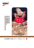 案例四：保生元