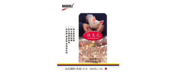 案例四：保生元
