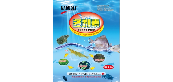 多利索