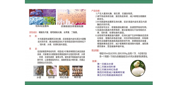 展示图片3