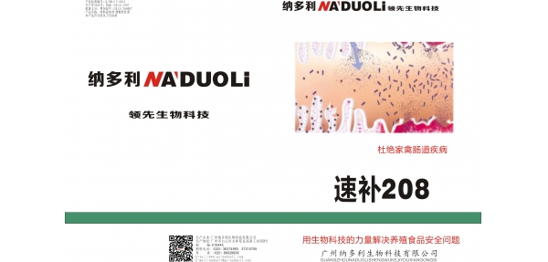 展示图片2